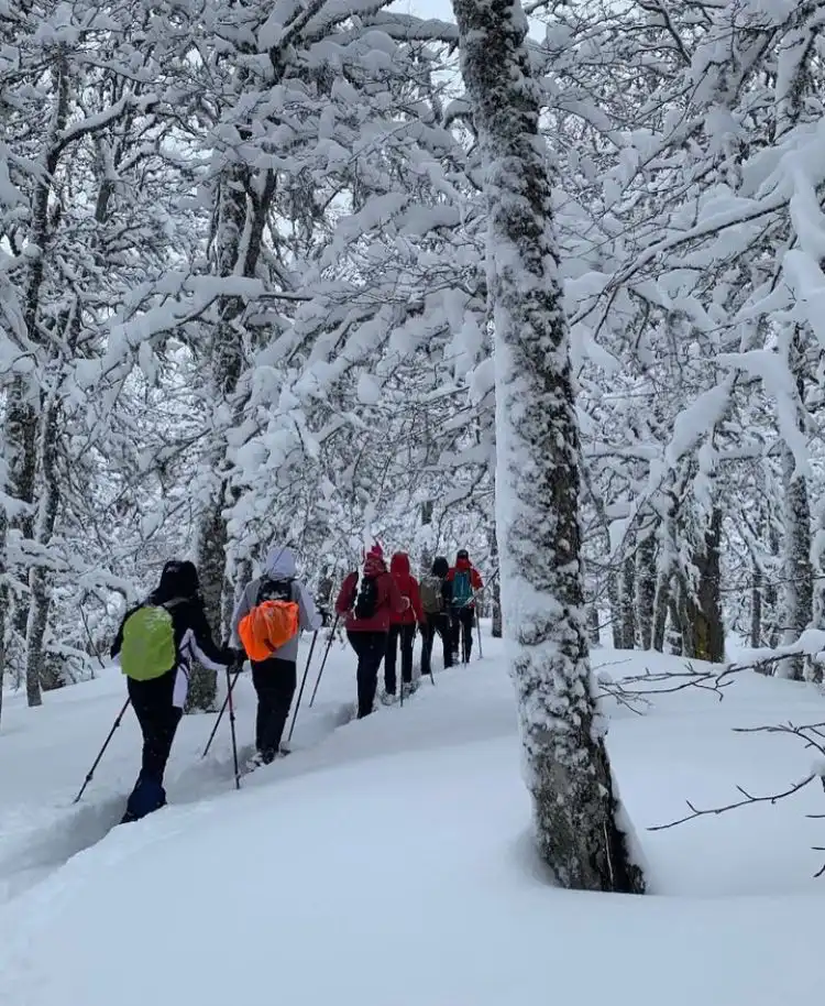 Ruta con Raquetas de Nieve en los Picos de Europa