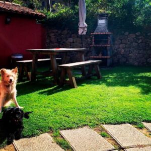 apartamento rural el sueve la quintana de romillo (1)