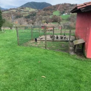 granja quintana de romillo (19)
