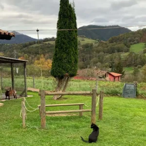 granja quintana de romillo (5)