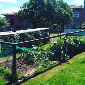 huerta