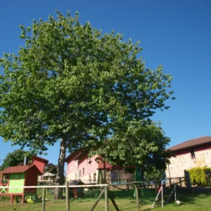 parque infatil romillo