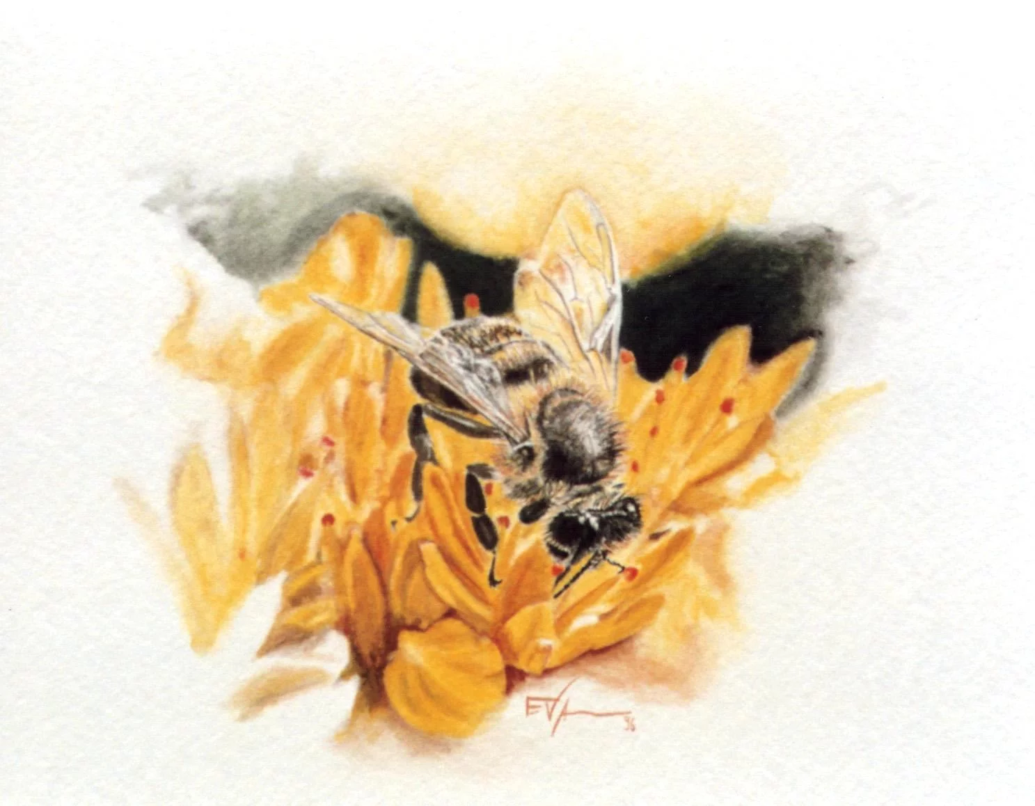 ruta as abejas